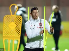 欧赛事战报：波兰队奋力拼搏，取得难得一胜