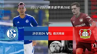 沙尔克球迷期待主场观战,见证胜利 沙尔克球迷期待主场观战,见证胜利